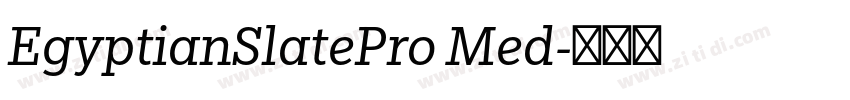 EgyptianSlatePro Med字体转换